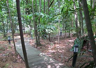 NIE library canteen